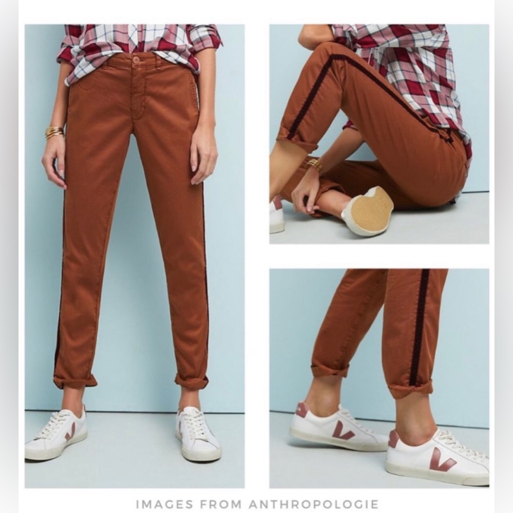 Anthropologie Sundey Chino Relaxed Red Velvet Stripe Pant Size 31 Nwt